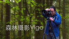 因虚构车辆租用协议导致相关财务数据不真实 永安保险和静支公司被罚11万元
