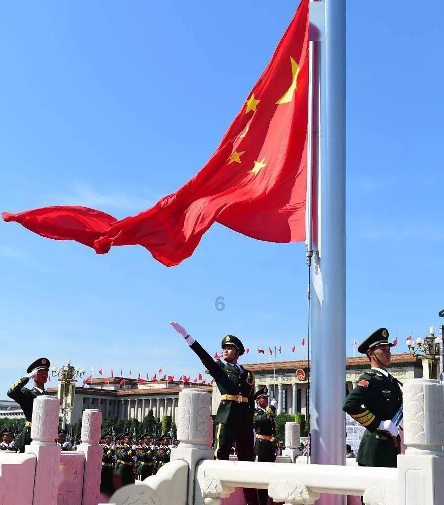 解救金刚鹦鹉